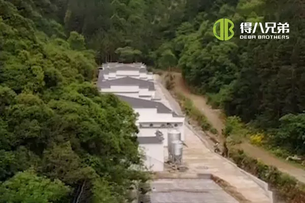 ãSistem de hrănire cu lichidãAnhui Huangshan 400 fermă de scroafe