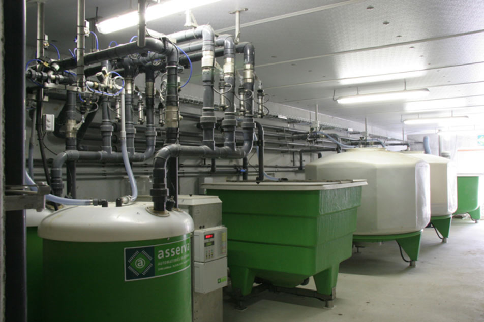 Sistemul de hrănire lichidă revoluționează industria porcilor: un schimbător de joc pentru fermele de porci