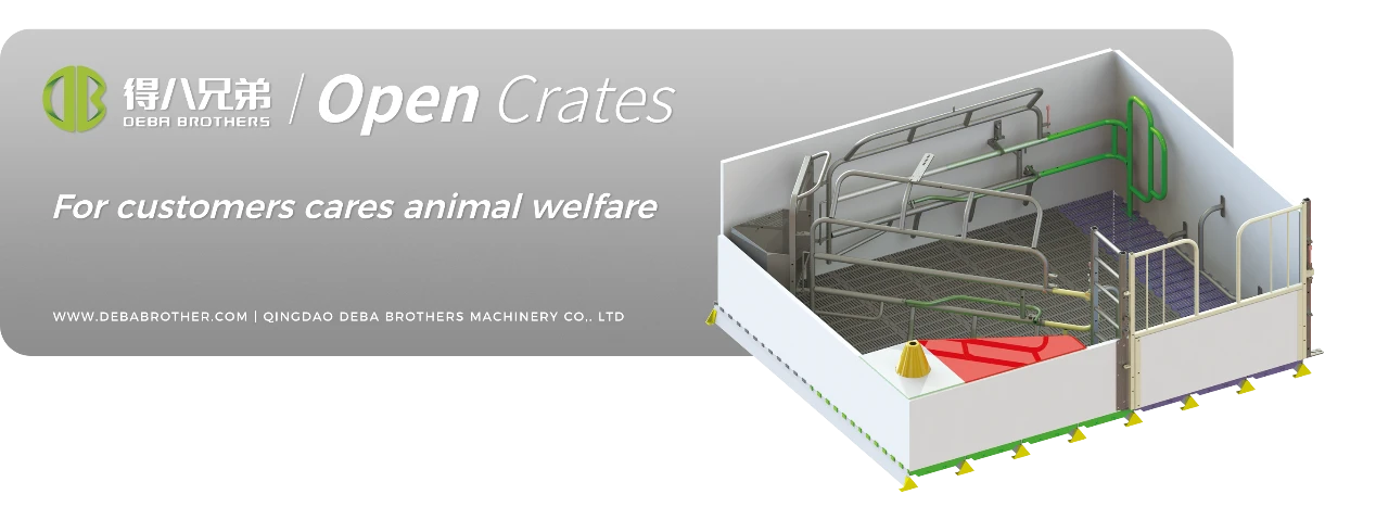 Patul de scroafă deschis DEBA Brothers a fost recunoscut în întreaga lume pentru designul său ușor de utilizat