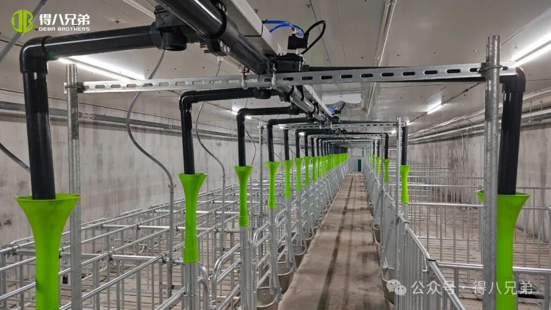 Baza demonstrativă de creștere și cultivare a porcilor negri Fratele Licha Deba - Operațiuni integrate de 2.000 de scroafe, 50.000 de sacrificare anuală, 67.000 de metri pătrați