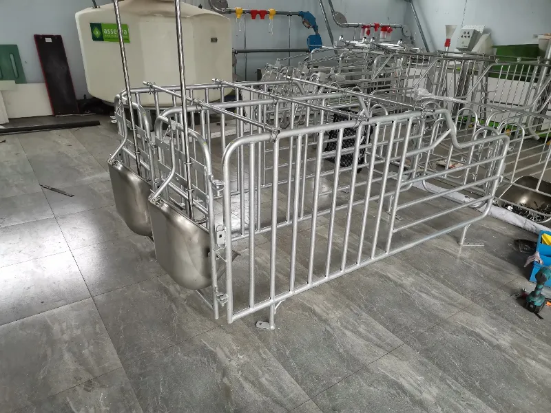 Avantajele esențiale ale galvanizării la cald pentru echipamentele pentru fermă de porci