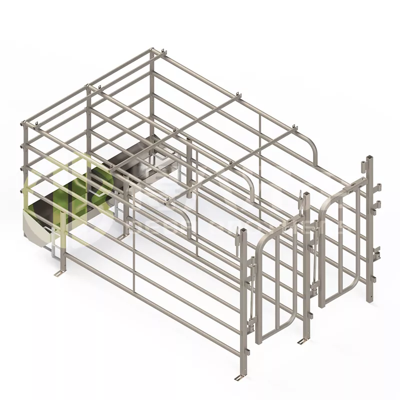 Tarabele mai largi de porci spaniole cu acces gratuit